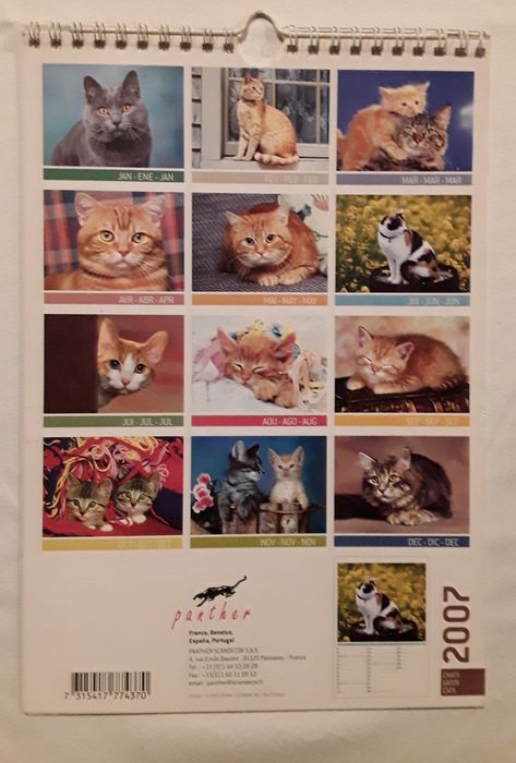 Calendário de parede com gatos do ano 2007