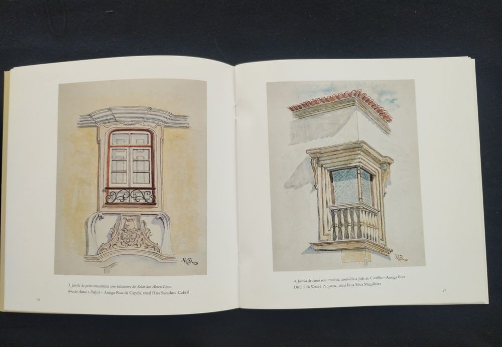 **Vendo livro "Janelas de Tomar" — Obra do arqui. tomarense Costa Rosa