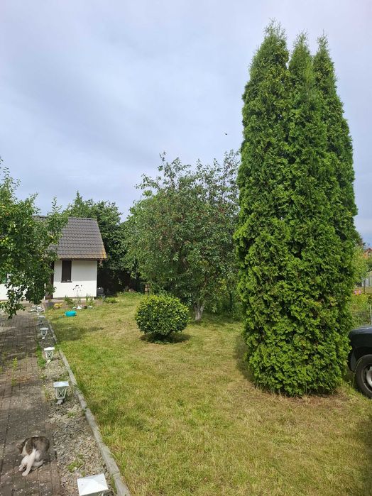 Dzialka Ogrodowa blisko morza Kamien Pomorski - Widok 2