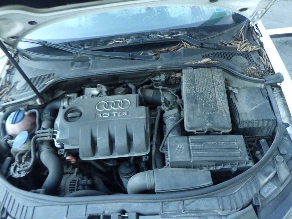 Portas Audi A3 Cabrio 8P7 1.9 tdi 105cv BLS 2008
