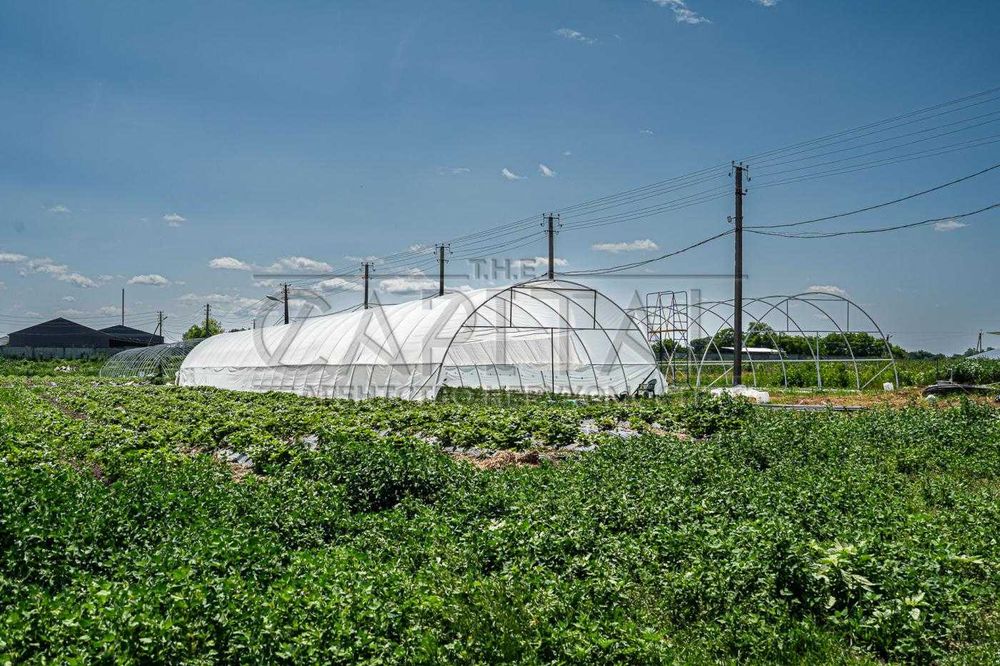 Продажа фермы, с. Русанов, Броварской р-н