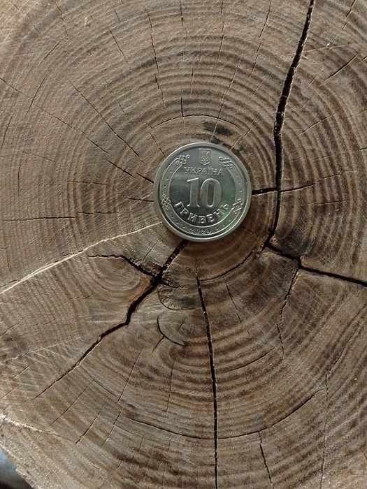 ПРОДАМ!!Монету 2024 года. 10грн