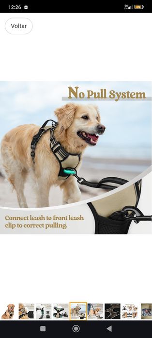 Arnês p/ cães marca rabbitgoo