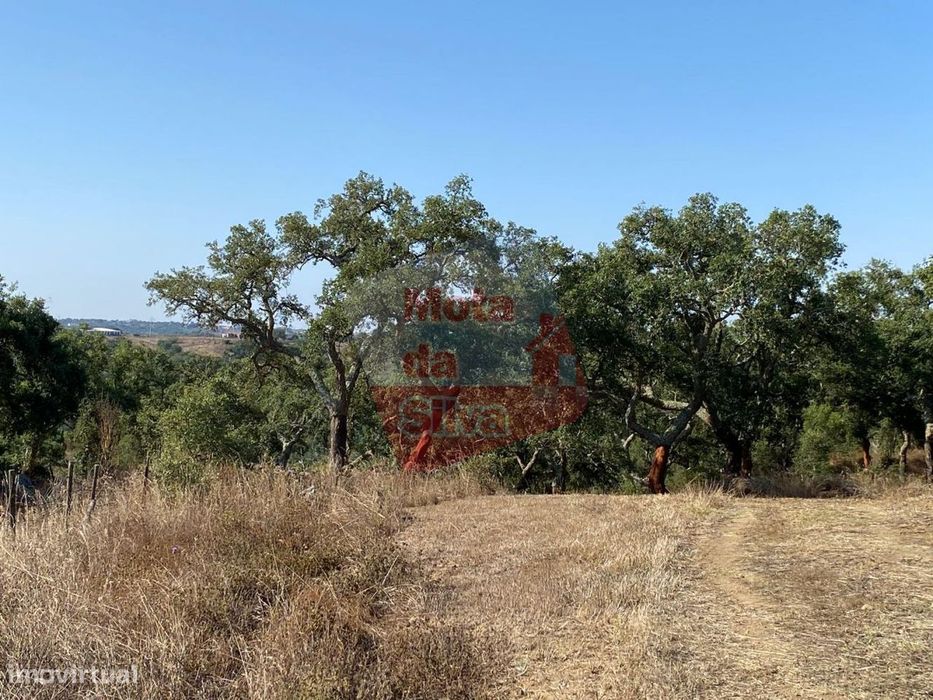 Terreno rústico com construção perto de Melides