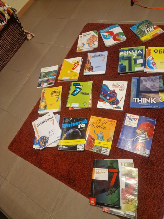 Manuais escolares 7 ano