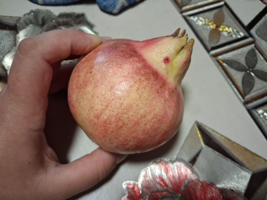 Romãs biológicas