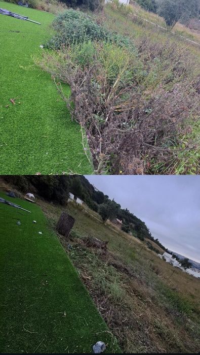 Serviço de limpeza mato e corte de árvores