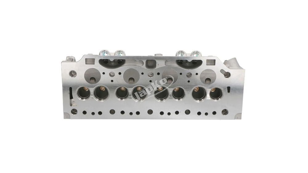 Cabeça de motor Renault Kangoo Megane Clio II 1.9D (NOVA)