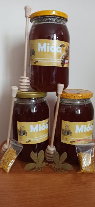 Miód  z własnej pasieki 1,2 kg