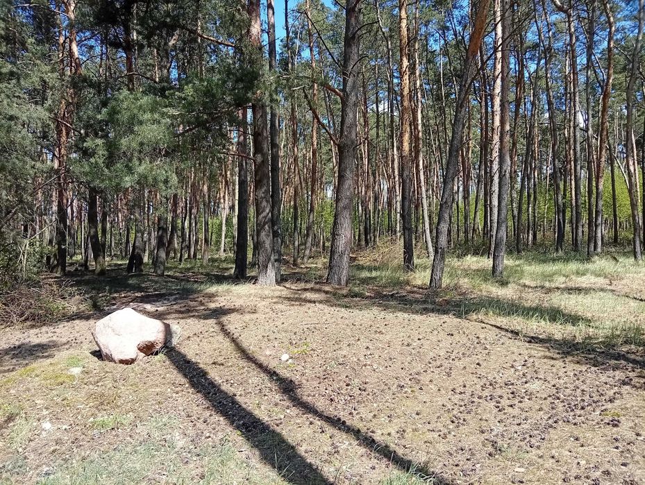Działka budowlana z linią brzegową Jeziora Wolskiego - Wiewiórczyn - View 3