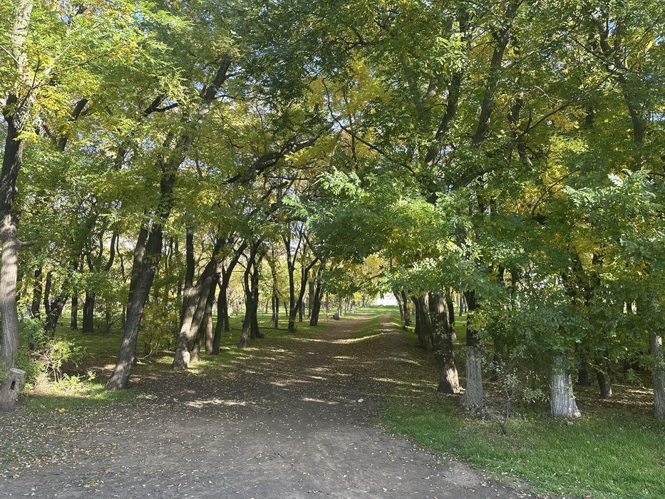 1квартира ЖК Мариинский