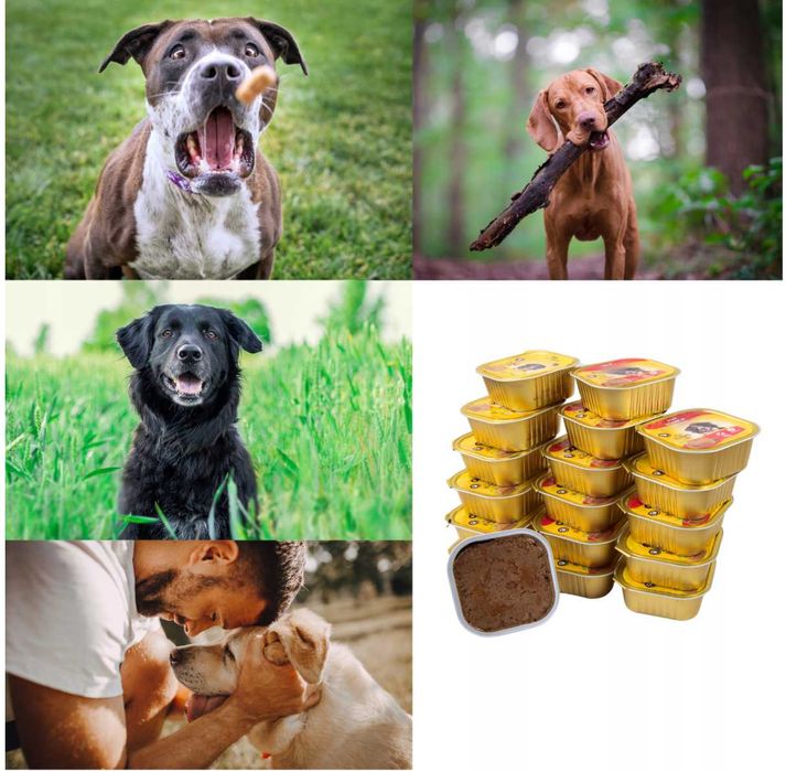 Karma Mokra Orlando Pasztet Dla Psa Kurczak I Wołowina 36X300G