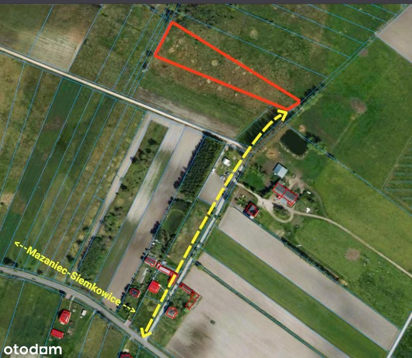 Kompleks inwestycyjny 4,42 ha (Łąki i Lasy) • Siemkowice