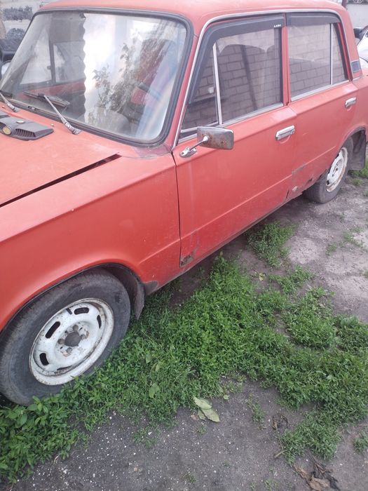 Продам черви навозная