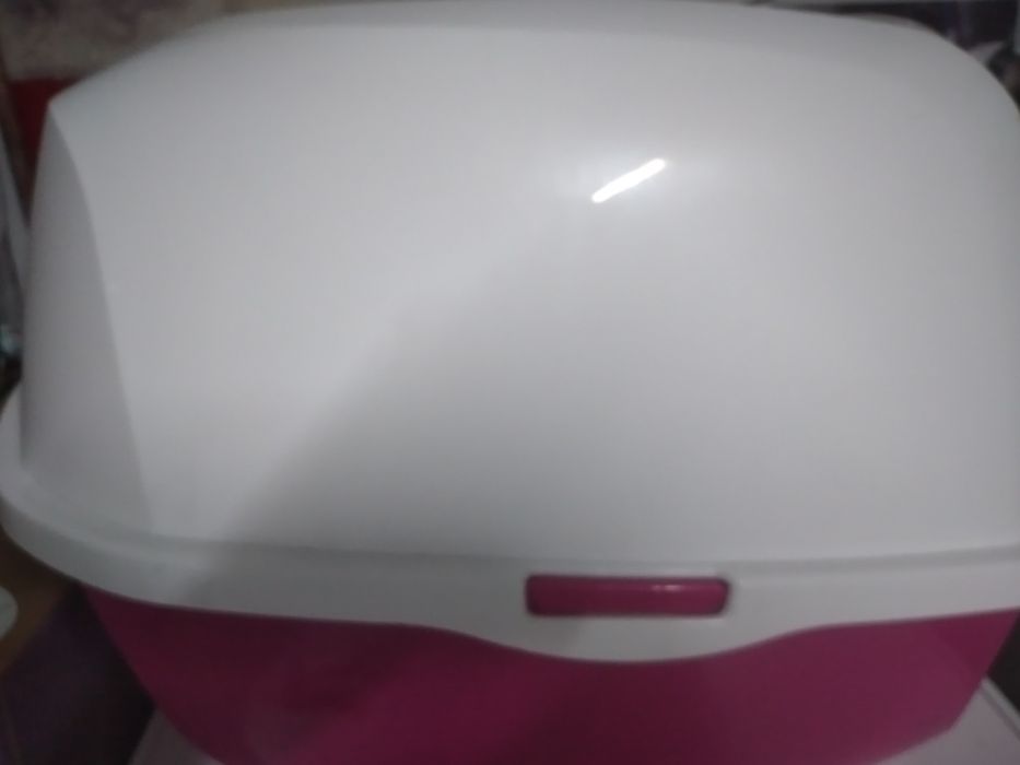 WC para gato pequeno branco e rosa