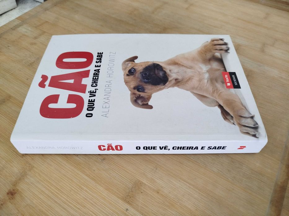 Cão - O Que Vê, Cheira e Sente de Alexandra Horowitz