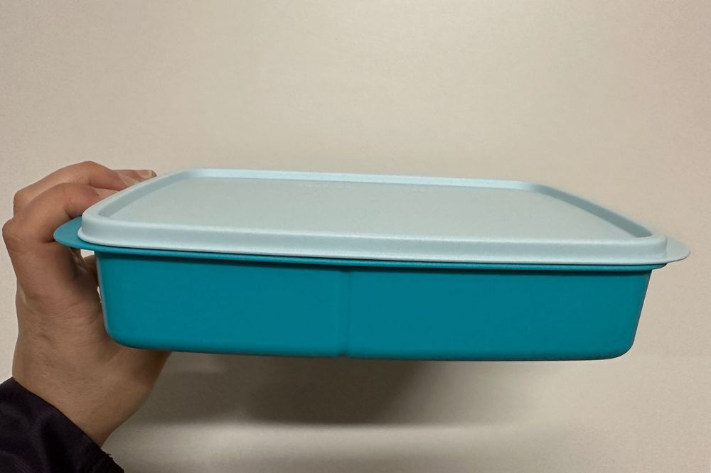 Caixa 1L com divisórias Tupperware427871681297131521