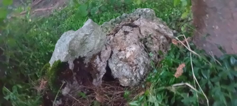 9 dużych głazów  wapiennych ,ostańców