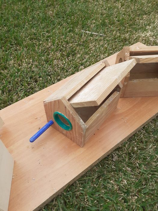 Ninhos para exóticos em bom estado