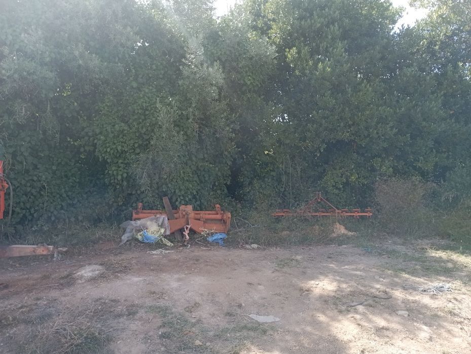 Casa de campo em ruína com terreno