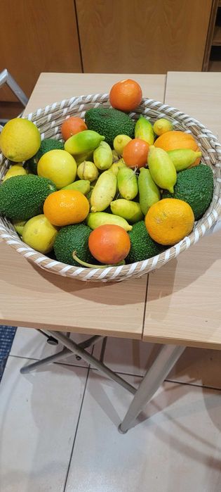 Limão-caviar ou limão cítrico australiano