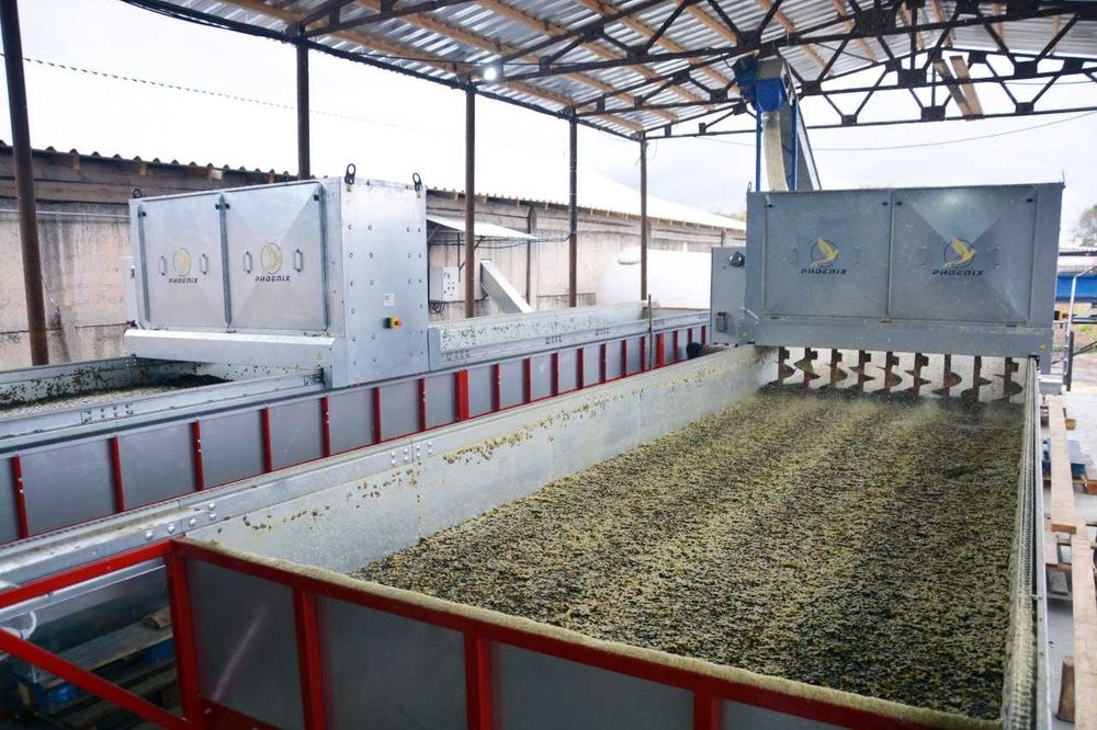 Стіл для сушіння гарбузового насіння / гарбузовий стіл PHOENIX 12*2