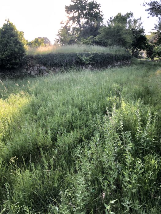 Terreno para projecto agricola