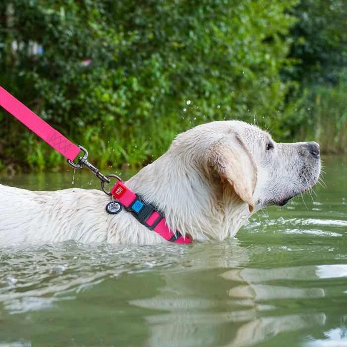 Амуніція нашийник повідок для собак біотан пвх Waudog waterproof