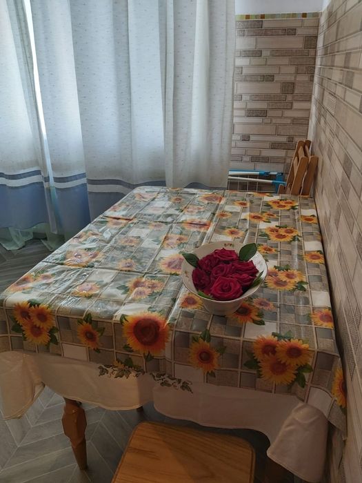 ВІЛЬНО з 25.02 Власник. Студія в центрі на 4 місця. Можна з тваринами