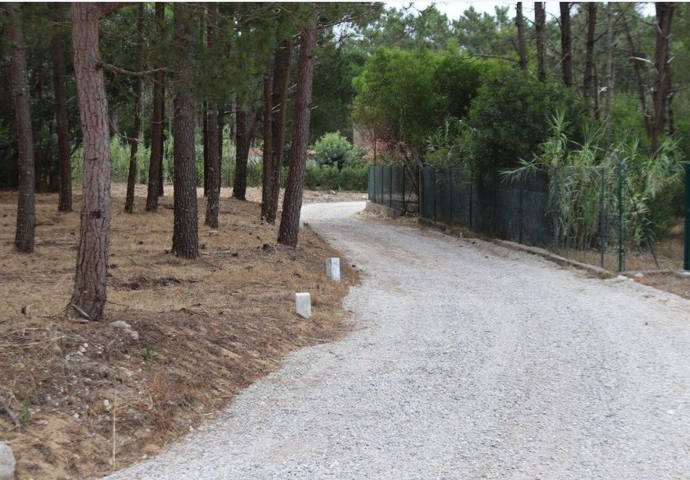Arrendo terreno em Janas