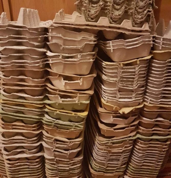 Zamienię 100 sztuk wytłaczanek po jajkach