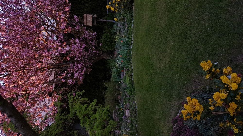 Projekt ogrodu przydomowego 1000m