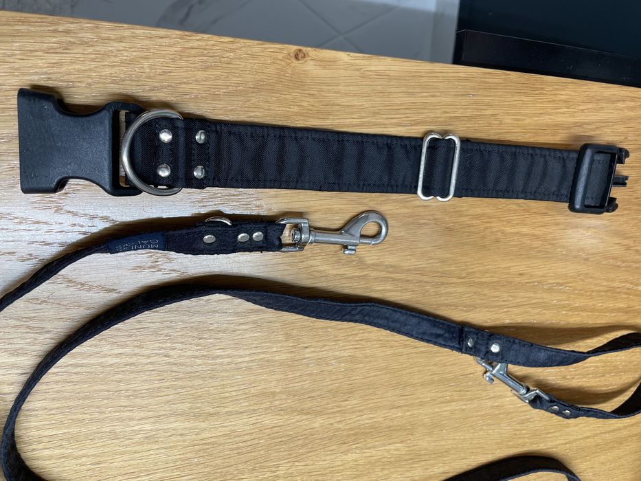 Obroża i smycz Mundo Galgo