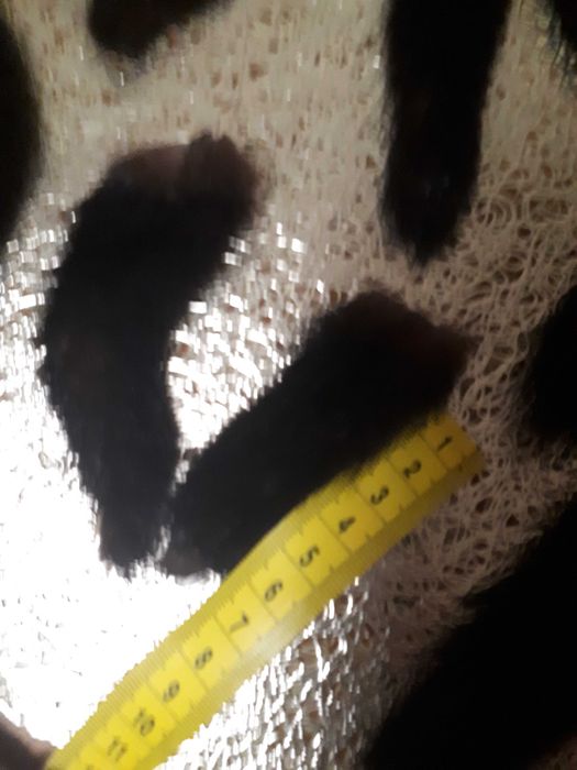 Хвостики норки разных размеров