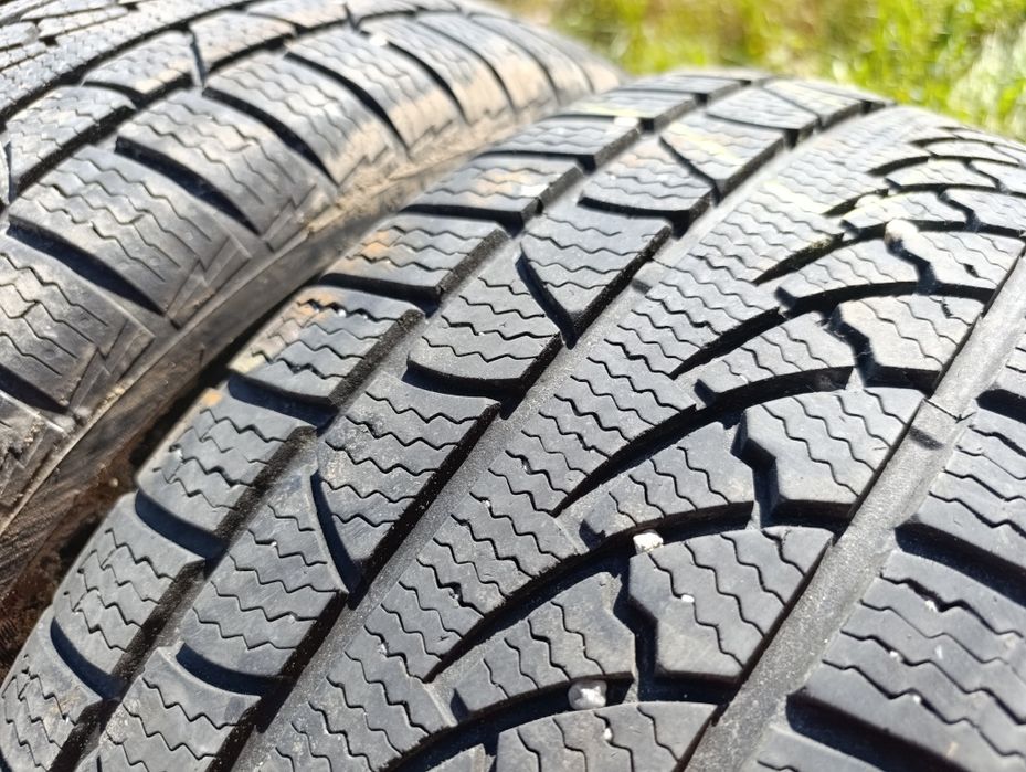 Зимові шини 235/55 R17 Petlas W651 Premiorri