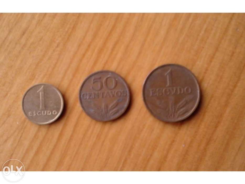 Moedas escudo