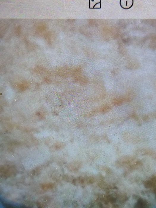 Trociny wióry sosnowe