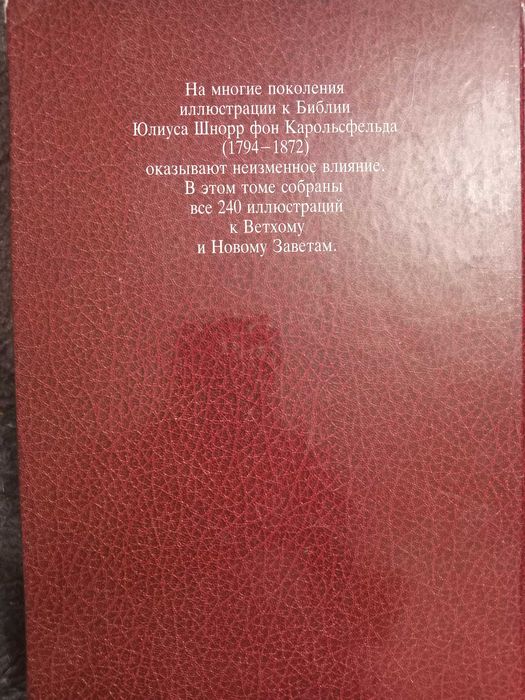 Библия , большая книга 30:21см текст 254 стр, черно белые иллюстрации.