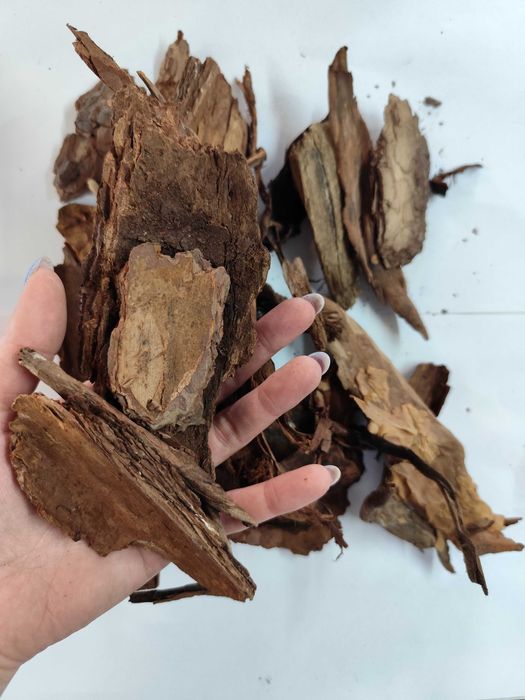 KORA ogrodowa SOSNOWA  80L GRUBA Sortowana kde