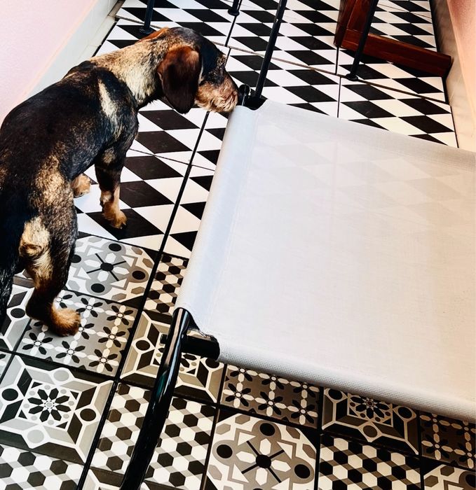 Cama para Caes Deluxe