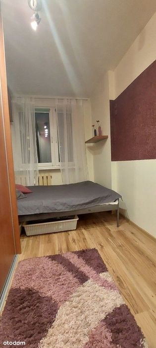 Zdjęcie 3