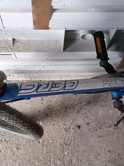 Bicicleta Berg Adulto