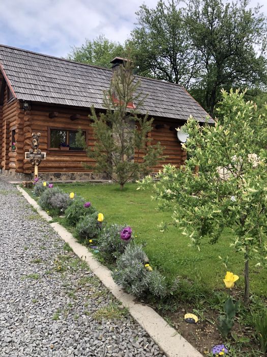 Будинок, садиба, котедж Закарпаття: чан, басейн,баня, котедж