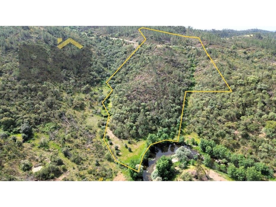 Terreno rústico com 34.320 m² para venda, localizado nas proximidad... — Benquerenças, Castelo Branco