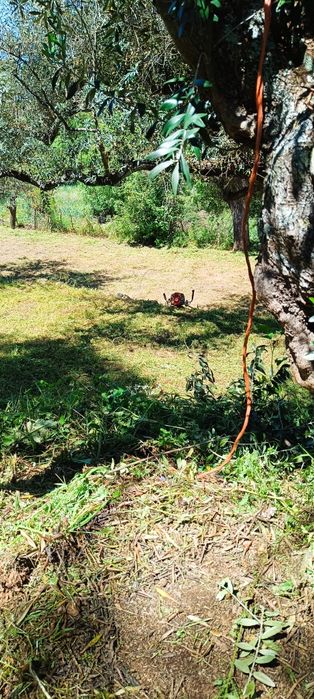 Terreno com 2,500m2 aldeia de santa Margarida castelo branco