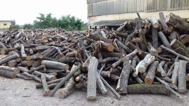 Дубові дрова оптом по області Дрова колоті акація дрова березові сосна