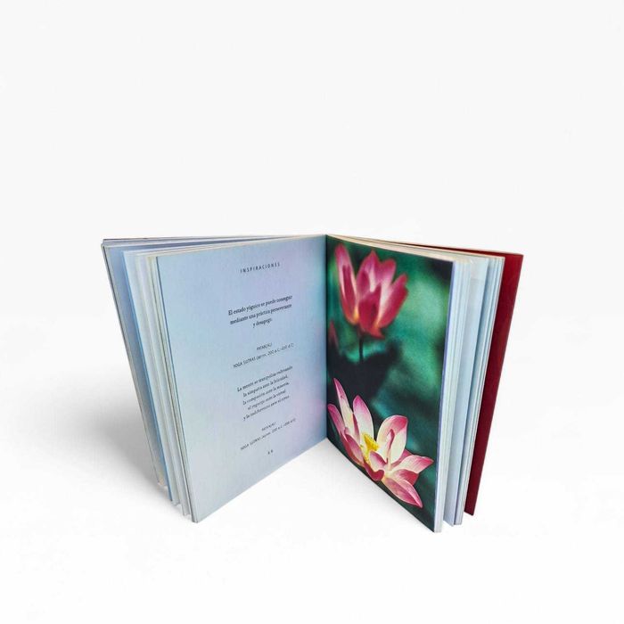 Livro “Yoga– Ejercicios e Inspiraciones para tu Bienestar” Tara Fraser