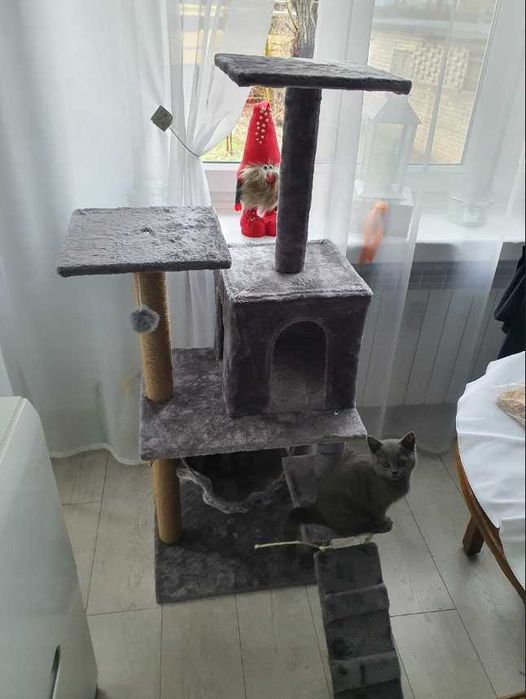 Drapak budka dla kota duży wysoki legowisko  drabinka słupek