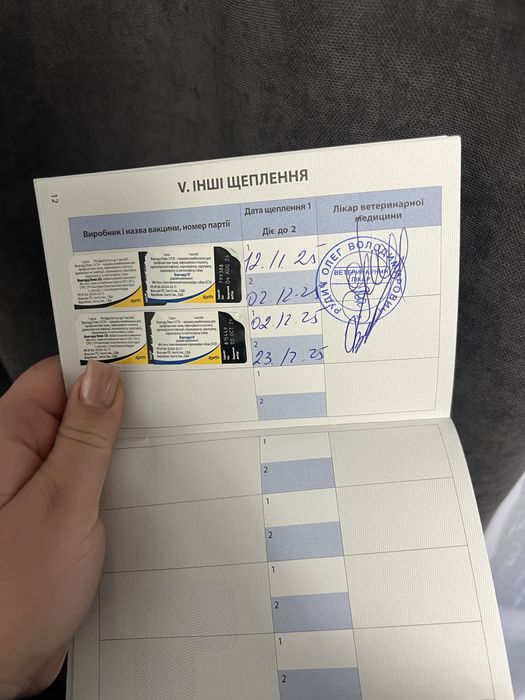 Мальтіпу Ред браун