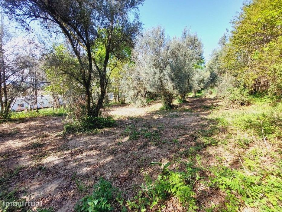Terreno Agricola - Caldelas